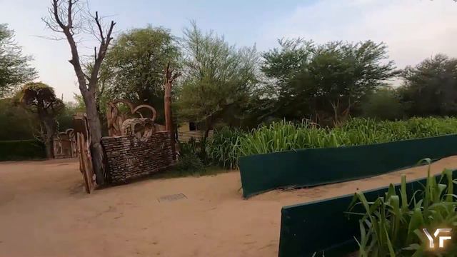 AL QUDRA LAKES | THE MAN MADE DESERT OASIS #alqudralakes смотреть онлайн