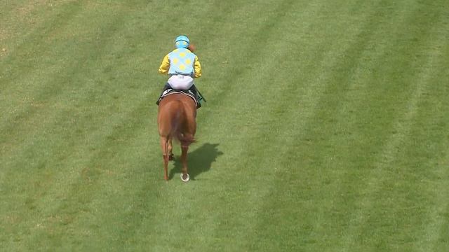 WATHBA STALLIONS CUP HANDICAP STAKES 0-55 смотреть онлайн