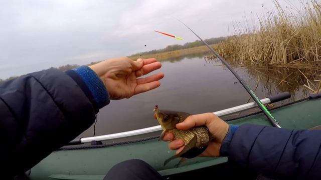 ВОТ ЭТО РЫБАЛКА НА КРУПНОГО КАРАСЯ, как в сказке. Клёв на поплавочную удочку, крупным планом. смотреть онлайн
