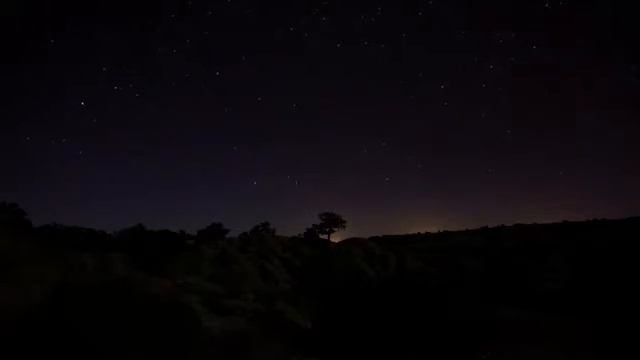 Безумный мир смотреть онлайн