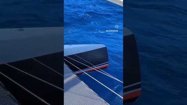 Sailing fast is FUN! ⛵ #sailfast #sailing #usvi #trimaran #neel45 #sailboat смотреть онлайн