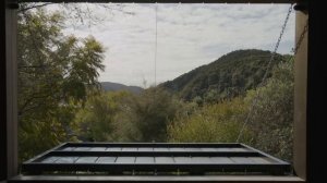 Inside An Ultra Modern Tiny Eco Home That Sits In the Tree Tops (House Tour)