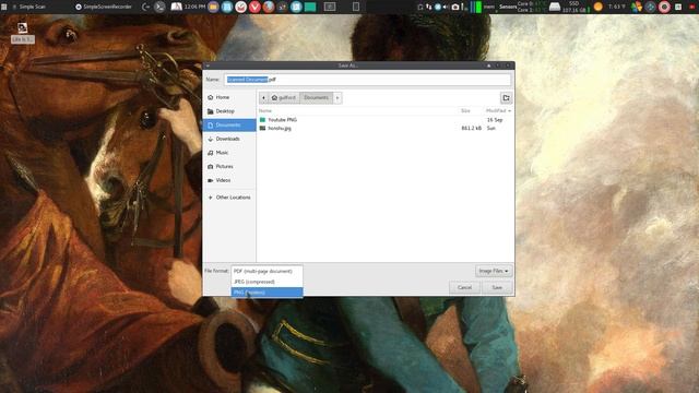 Two Scanning Programs смотреть онлайн
