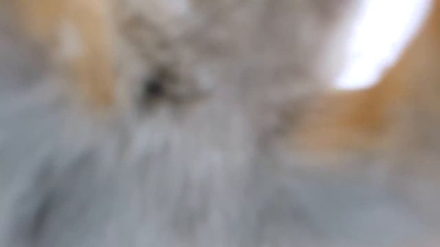 В гостях у весёлых бельчат. Март 2022. смотреть онлайн