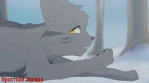 Коты - Воители Крутобок - Пульс ( Заказ )