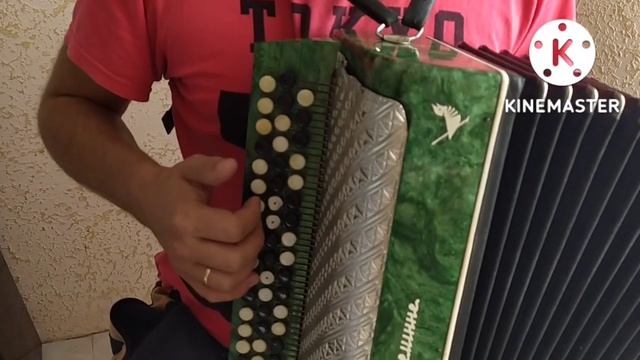 У Чёрного моря!Разбор песни на баяне! смотреть онлайн