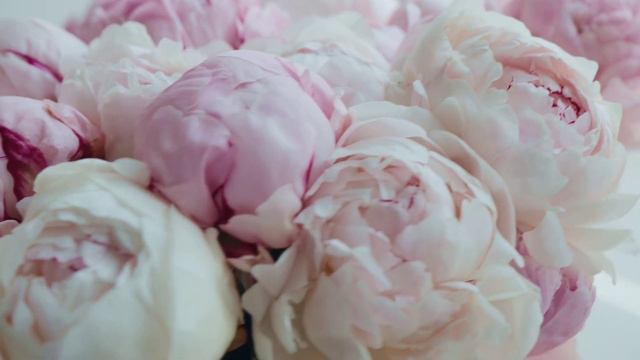 Beautiful Relaxing Violin & Piano Music & Colorful Flowers Videos. Relaxing Sleep Music for Night смотреть онлайн