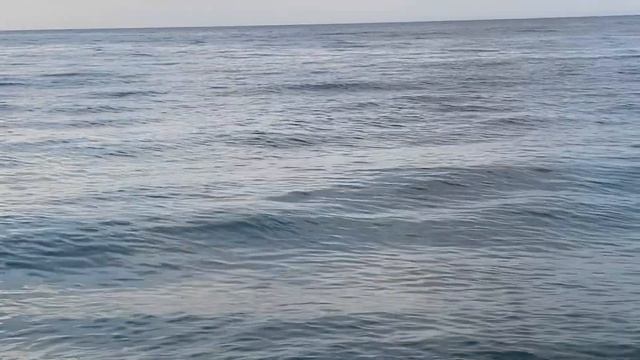 24.10.2023. Погода в Сочи в октябре. Смотри на Чёрное море каждый день. смотреть онлайн