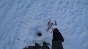 700КМ на ВЕЗДЕХОДАХ по БАЙКАЛУ! ПАЛАТКА ПЯТИХАТКА! ЛОВИМ ХАРИУСА! ч9