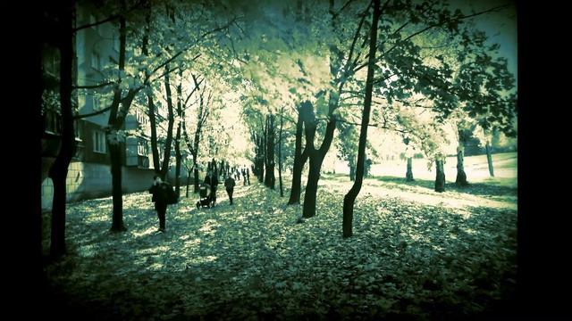 Копия видео 