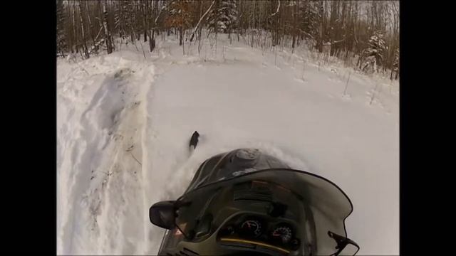 Snow mobile gets stuck on Wisconsin Trail смотреть онлайн