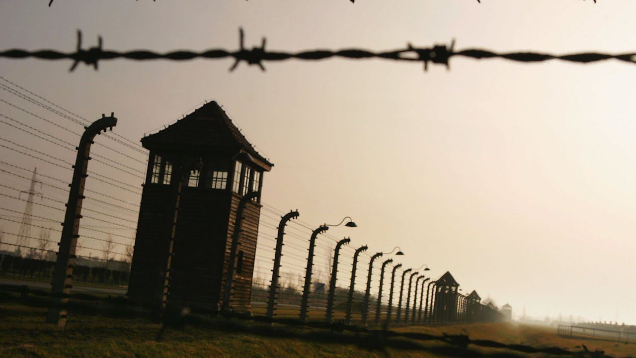 Holocaust 2024 смотреть онлайн