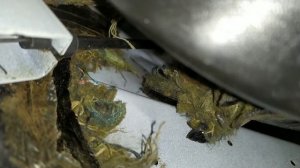 ЗАМЕНА ТРОСИКА КАПОТА  ВАЗ 2107 ( КЛАССИКА )