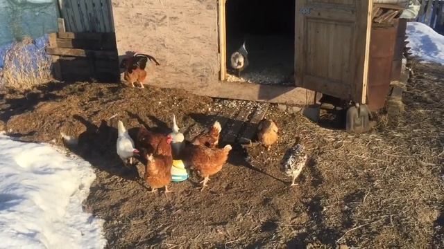 Солнце греет и печёт. Дождался. ??? смотреть онлайн