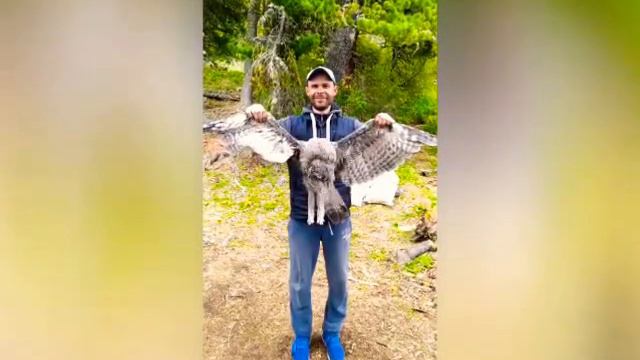 Красота алтайских гор смотреть онлайн