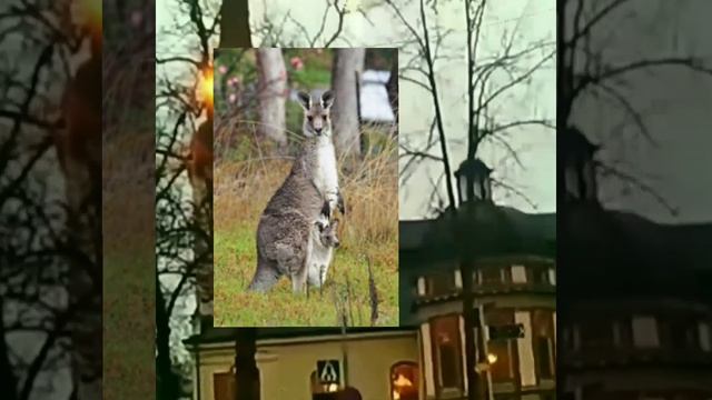 Religije sveta E-Lekcija смотреть онлайн