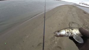 СЕВЕРНЫЙ ОБЪЕЗД / ЛОВЛЯ СУДАКА / РЫБАЛКА В НОВОСИБИРСКЕ.