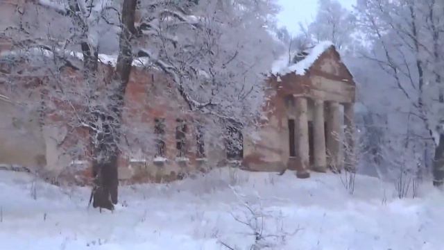 ПОШЕЛ ПО СЛЕДАМ И ВОЛОСЫ ВСТАЛИ ДЫБОМ! смотреть онлайн