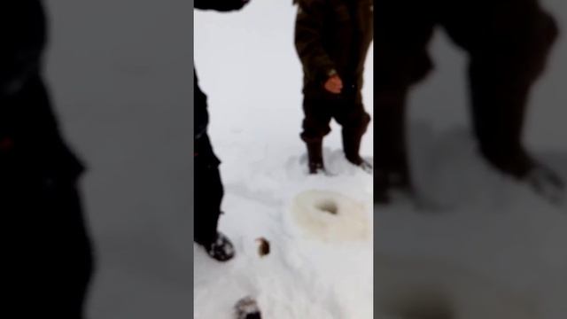 Рыбалка на Заимском соре в Уватском районе смотреть онлайн