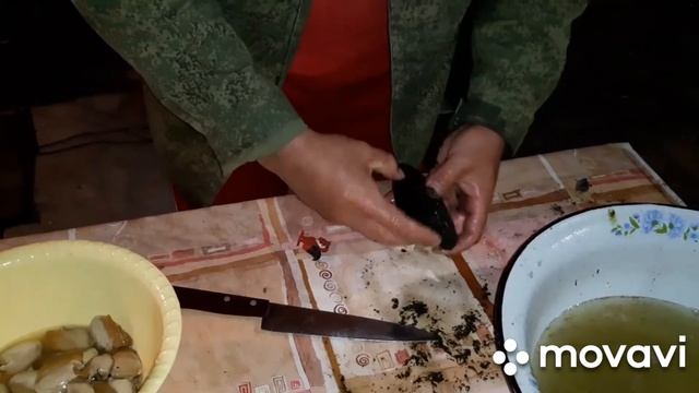 Ловим и жарим ракушки