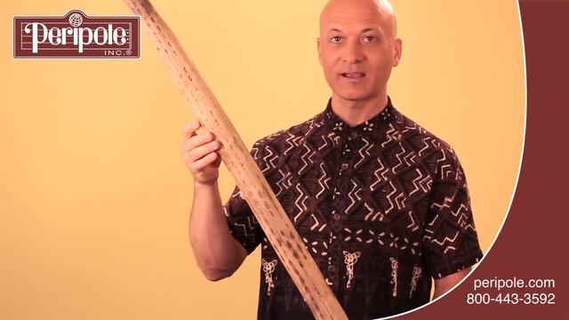 How to Play the Rainstick смотреть онлайн
