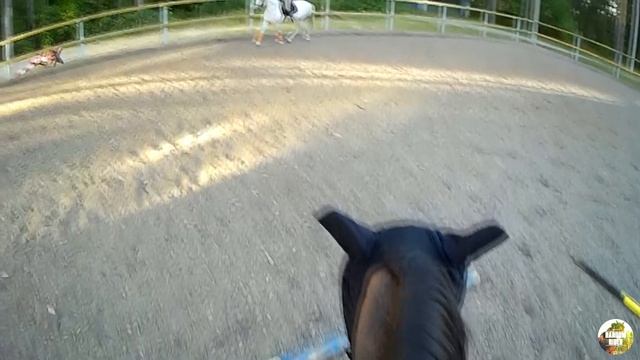 снова в седле | год без тренировок смотреть онлайн