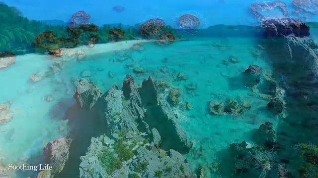 Музыка расслабляет нервную систему, улучшает память ? Сергей Грищук музыка#музыкадлядуши смотреть онлайн