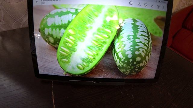 Экзотика в саду Мелотрия