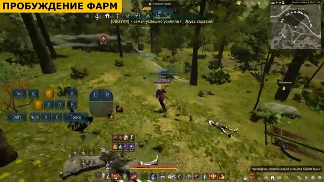 ? СТРАЖ: имба фарм? ПВП и ПВЕ гайд после реворка в БДО (BDO - Black Desert) смотреть онлайн