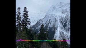 Зульфия Рабаданова - Дарганти