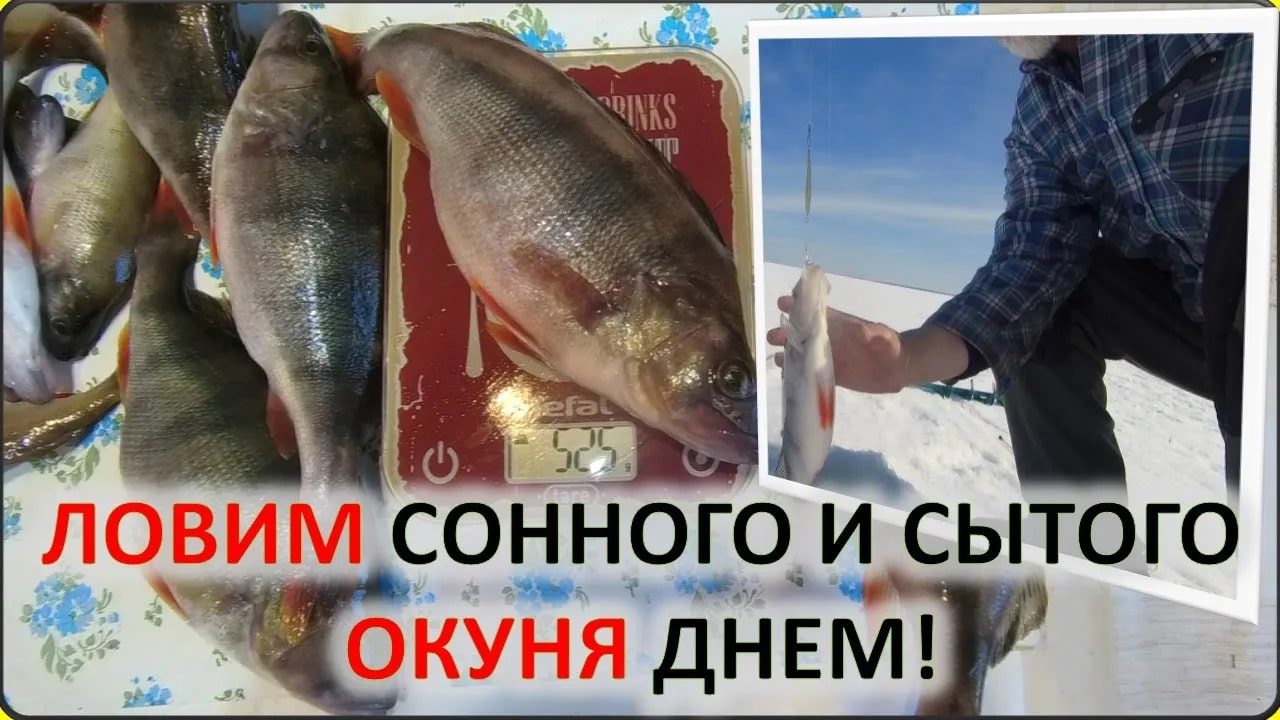 Рыбалка . Ловим окуня зимой на блесну. Пробую соблазнить сонного окуня днем вкусной блесной. смотреть онлайн