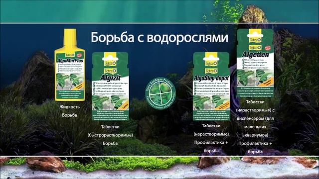 Борьба с водорослями в аквариуме смотреть онлайн