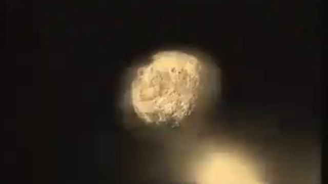 Alesandro Safina Luna Tu.240 смотреть онлайн