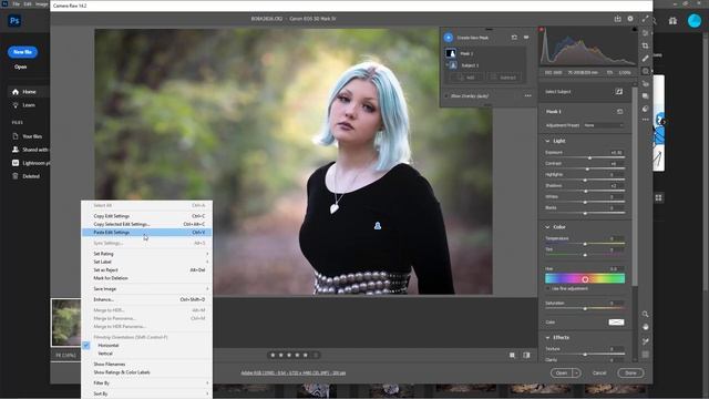 Subject Selection Mask in Adobe Camera Raw смотреть онлайн