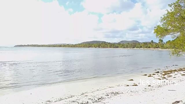 PLAGES SOLEIL .LA MARTINIQUE BELLES ET MEILLEURES PLAGES DU MONDE .LES SALINES SAINTE ANNE. смотреть онлайн