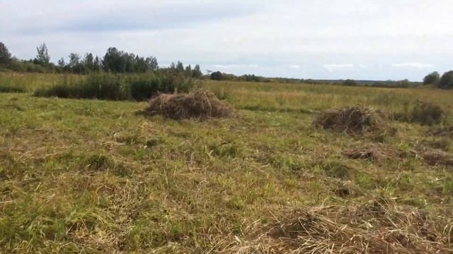 Сенокос 2019 ч.2 Собираем сено на волокуши смотреть онлайн