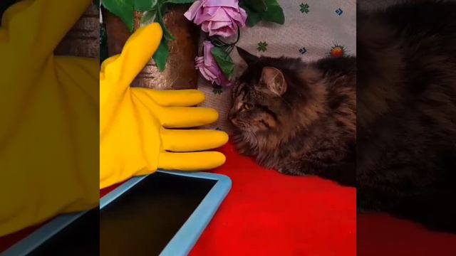 Когда грустно, не грусти есть же друзья. смотреть онлайн