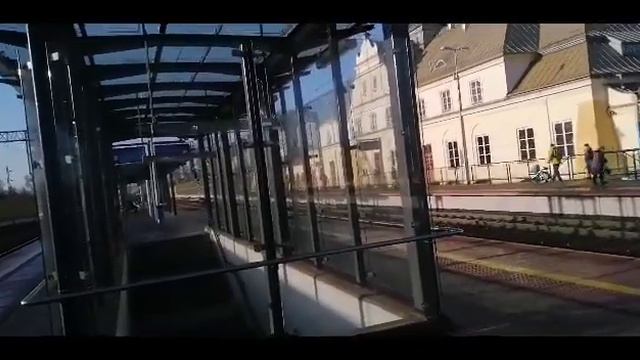 Смешная агрессивная женщина верблюд😂😂 смотреть онлайн