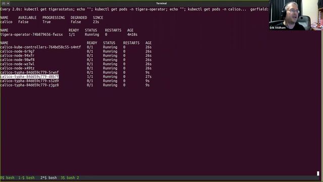 Calico Operator background and demo смотреть онлайн