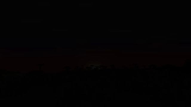 History of all Minecraft Mobs [2009 - 2023]