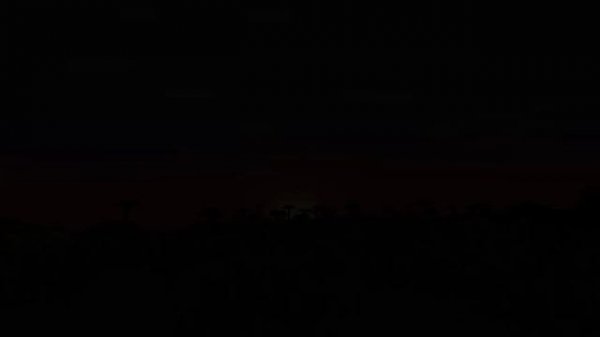 History of all Minecraft Mobs [2009 - 2023]