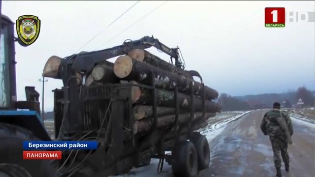 Лес снова попал на контроль Госинспекции охраны животного и растительного мира. Панорама смотреть онлайн