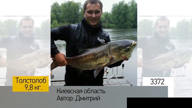 Фотоальбом - Рыбалка №674 смотреть онлайн