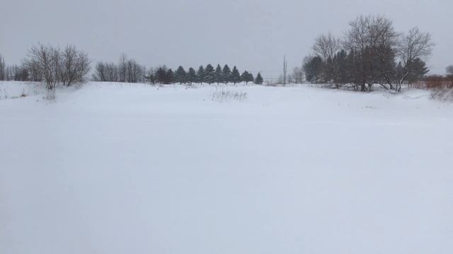 Skidoo Legend GT SE V1000