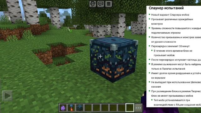 ?Обзор новой бета версии 1.20.60.20 | Огромнейшая бета - добавили новую структуру и моба и много ещ