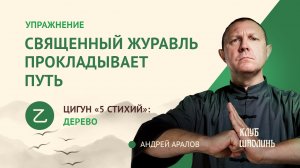 Комплекс цигун 5ти стихий на весну: укрепление печени и желчного пузыря. А.В.Аралов.