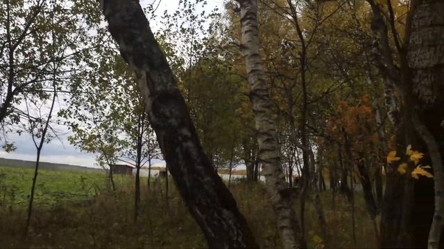 Участок 3 Га смотреть онлайн