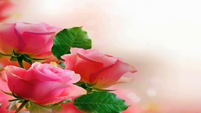 Поздравление С Днём Рождения 46 Лет Женщине - Красивое Прикольное Музыкальное Поздравление Открытка смотреть онлайн