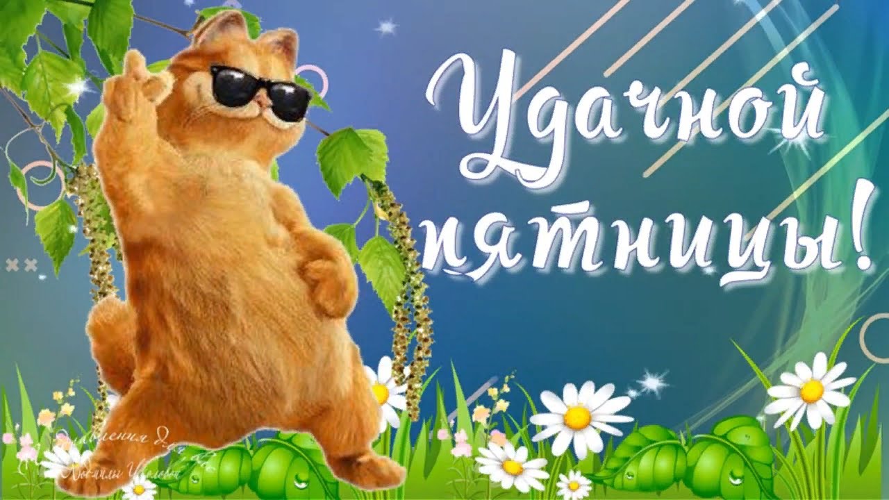 Удачной пятницы, друзья!!! Небольшой позитивчик для Вас! смотреть онлайн