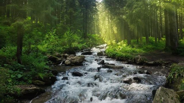 ВОССТАНОВЛЕНИЕ НЕРВНОЙ СИСТЕМЫ 🌿 Нежная музыка, успокаивает нервную систему и радует душу #28 смотреть онлайн